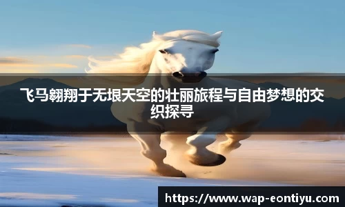 飞马翱翔于无垠天空的壮丽旅程与自由梦想的交织探寻